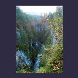 2012-10-20_Fall_AQUILA (344)1a.JPG